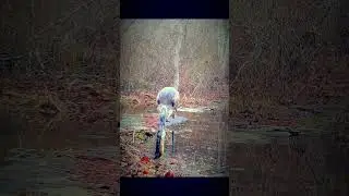 #fishing