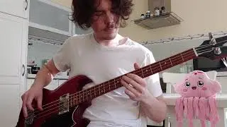 Camel - Lady Fantasy (Bass Cover)