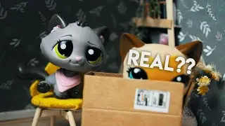 LPS: Shopping #44 | bunch of fakes