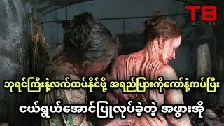 အရည်ပြားကိုကော်နဲ့ကပ်ပြီး ငယ်ရွယ်အောင်ပြုလုပ်ခဲ့တဲ့အဖွားအို... TB Movies