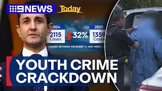 Major drop in serious crime offences following 'adult crime, adult time' laws | 9 News Australia