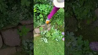 Great Help #garden#like#work#satisfying#trending