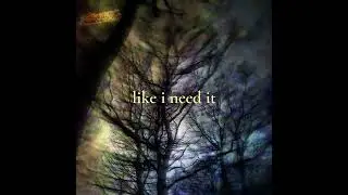 oaktreehill - fading away (forever) ft. rxscx [LYRIC VIDEO]