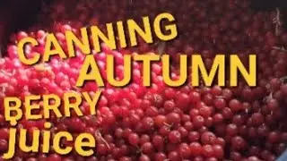 CANNING AUTUMN BERRY JUICE