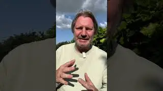 Der kann echt viel - Zendure SolarFlow 800 pro