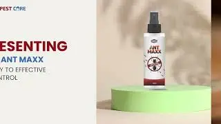 ZYAX Ant Maxx