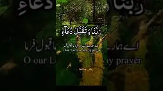Qurani ayaat #shorts #youtubeshorts #ayaats