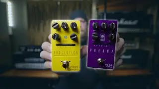 BANG FOR THE BUCK! Flamma Preamp & Modulation Pedals!
