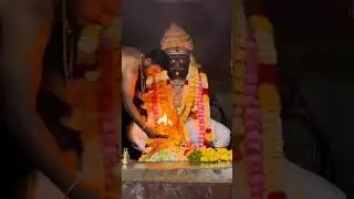 pandi ayya dhuna 🔥🔥🔥🙏🙏🙏#like #shortvideo #comment #subscribe #mathura #panditpradeepmishr  #ayodhyar