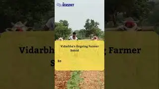 Vidarbha's Ongoing Farmer Suicide Crisis