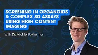 Screening in Organoids & Complex 3D Assays Using High Content Imaging