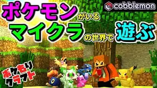 【ポケモン×マイクラ】ポケモンのいるマイクラの世界でまったり生きていきたい【ポケもりクラフト】【コブルモン】