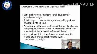 Comparative Anatomy of Digestive System in Vertebrates  (Dr. R. B. More)