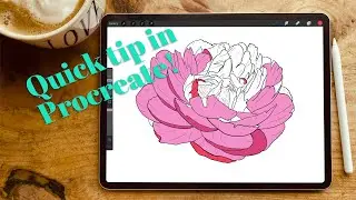 Procreate Quick Tip || Outlines in Procreate || Perch Handmade