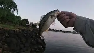 The Supreme Bream rod and reel- Fishing in Hattingspruit Dam