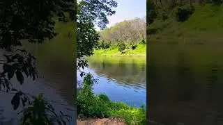 Riverside Vibes #riverside #vibes #river #walking #shorts