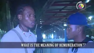 What is the meaning of remuneration?