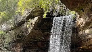 Colditz Cove, TN - hiking to Northrup falls