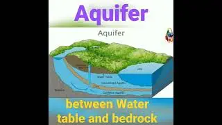 Aquifer - lies between Water table and bedrock