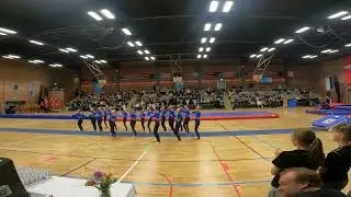 Teamgym Mini piger Vejen Opvisning 2024