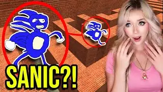 If you see SANIC THE HEDGEHOG in a Maze... RUN AWAY FAST!