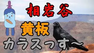 【天然砥石】相岩谷産 黄板カラス レビュー研ぎ【鉋】