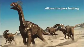 Chasing History: Andre Lujan shows us Life, Dinosaurs until Now at Texas Through Time Museum Pt. 2