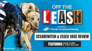 Обзор Cesarewitch & Essex Vase | Off The Leash | Советы по собачьим бегам | Racing Post