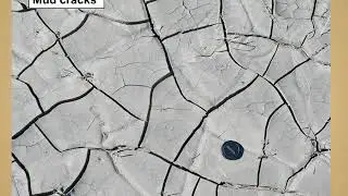 Sedimentary Rocks: Sedimentary Structures