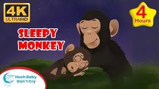Sleepy Monkey | Baby Sleep Video 4 Hour | Lullabies for Babies | Hush Baby Don&rsquo;t Cry