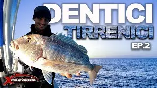 50 Sfumature di Verticale Ep.2 - Dentici Tirrenici