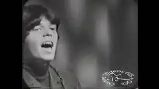 The McCoys - Come On, Let's Go