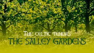 The Celtic Tenors - The Salley Gardens [Lyric Video]