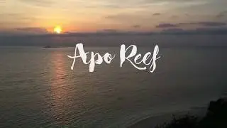 Apo Reef Natural Park | Travel Video