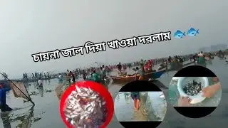 চায়না জাল দিয়া অনেক মাছ ধরলাম 🐟🐟anzing fish fishing video virel fishing video 