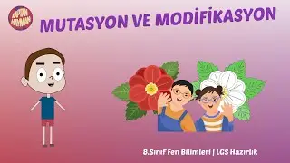 Mutasyon ve Modifikasyon | 8. Sınıf LGS Fen Bilimleri |  Kaptan Hayman Animasyon