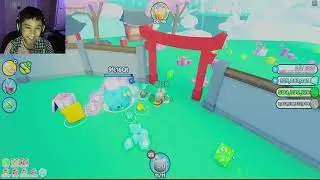 My first video! I opened a Mini Meteor in Pet Simulator X.