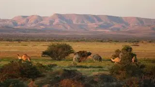Nugaal Valley! Tradition,Journey￼,wedding￼ Somalia 🇸🇴| africa #P5
