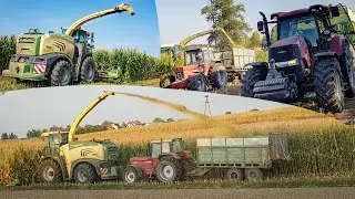 Kiszonka 2019! Krone BigX580! 2xCase! Kubota! Zapraszam!