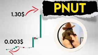 Pnut Price Prediction. Peanut the Squirrel Crypto Token Analysis