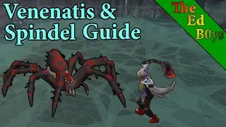 OSRS Venenatis & Spindel Guide | Updated Venenatis Guide