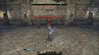 ESO セット装備 健脚 Farstrider