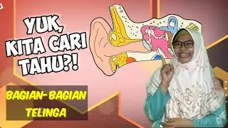 BAGIAN-BAGIAN TELINGA || KELAS 4 SD