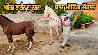 ਅਬੋਹਰ ਲਾਈਨ ਦਾ ਨੁਕਰਾ ਘੋੜਾ ਬਾਜ਼ ,owner-salinder singh baggi cont no 98780-91101,bhagatpura maur Bnl
