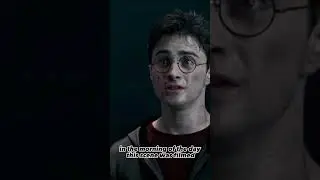 The REAl reason why Harry&rsquo;s scream was muted when Sirius was killed