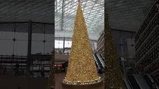 COEX library christmas tree #Seoul #southkorea #shorts