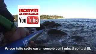 Basso fondo .Pesca Sub Lg Sub Supreme 117  Spearfishing Sardegna .