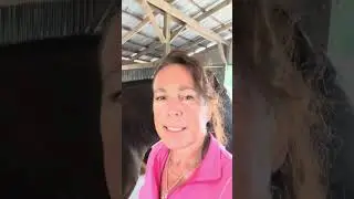 🌟THE BEST BAREBACK PAD EVER! 🐎