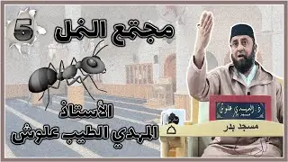 الأستاذ المهدي الطيب علوش حفظه الله || مجتمع النمل من آيات الله #5