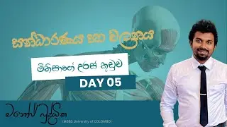 Biology Lesson in Sinhala | Support & movement - Lesson 05